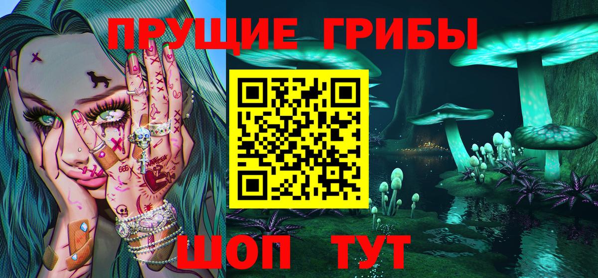 Галлюциногенные грибы Psilocybe  Вход с VPN  наркотики  Псилоцибиновые грибы Magic Shrooms  Геленджик 